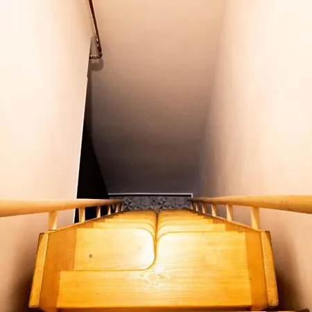 Bachelor Budapest